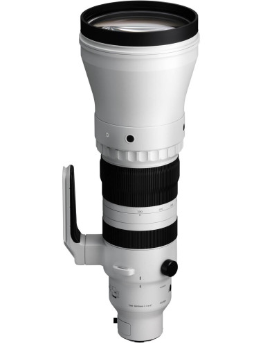 Sigma 300–600mm f/4 DG OS Sports for Sony E-mount.