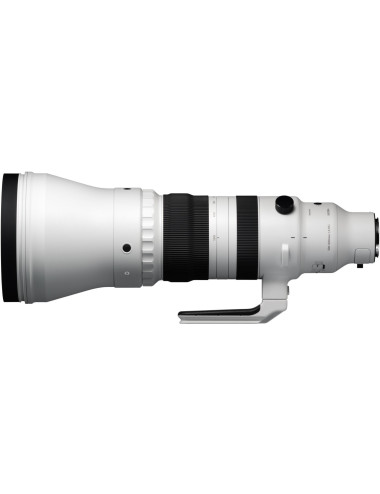 Sigma 300–600mm f/4 DG OS Sports for Sony E-mount.