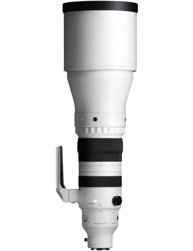 Sigma 300–600mm f/4 DG OS Sports for Sony E-mount.