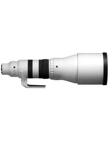 Sigma 300–600mm f/4 DG OS Sports for Sony E-mount.