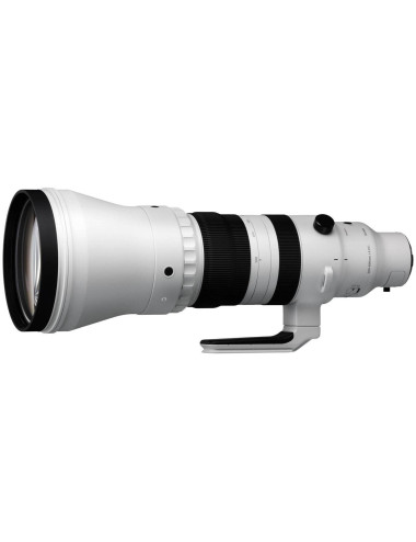 Sigma 300–600mm f/4 DG OS Sports for Sony E-mount.