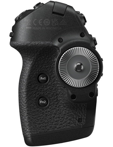 Nikon MC-N10 Multi-function grip.